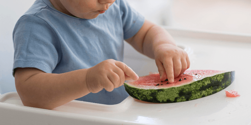 Pequenos Exploradores - Oficina Sensorial e a Relação Construtiva com a Comida